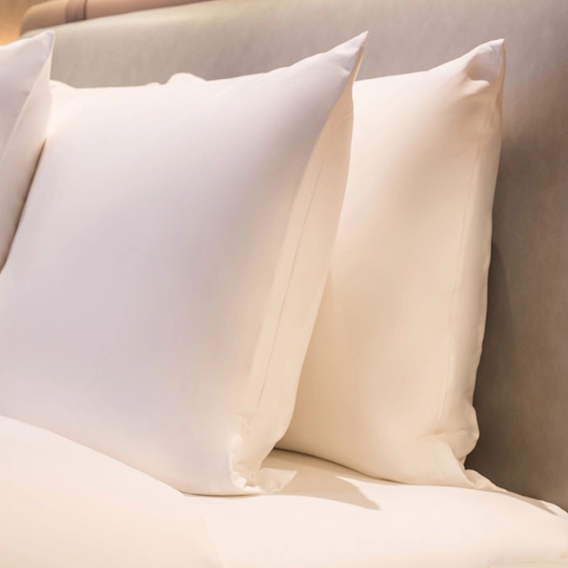 comprar almohada asturias santarua